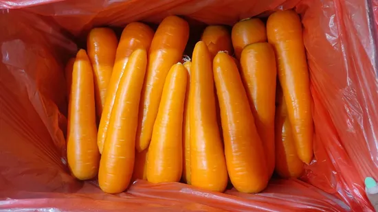Easter Wreath Decoration High Simulation Radish Vine Circle Amazon Nordic Home Pendant Decoration Crafts Carrot Wreath